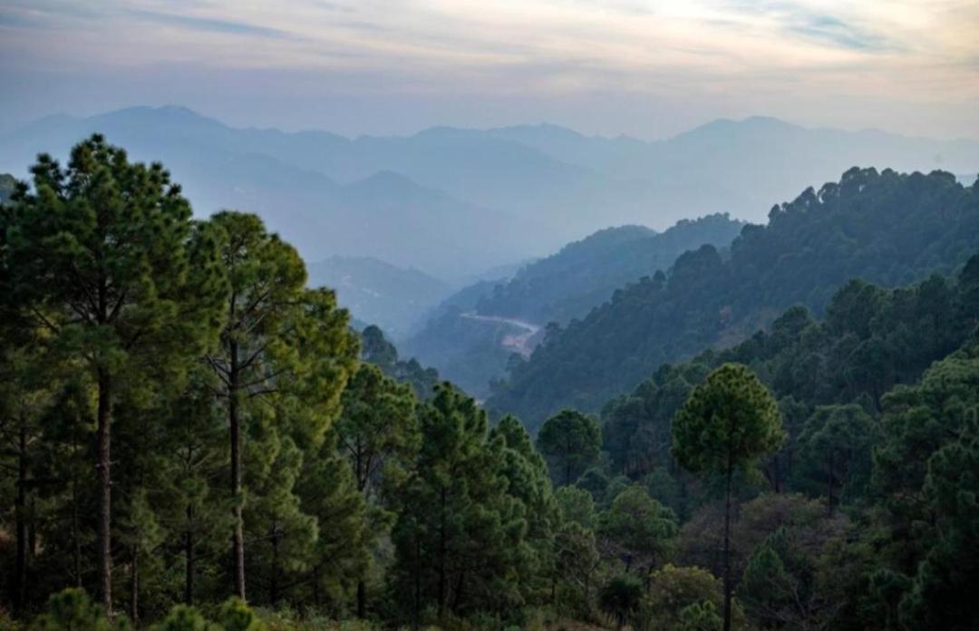 The Kasauli Western Uphills I Serviced Apartments I Pvt Balcony I Peacefull Area I By Exotic Stays Eksteriør bilde