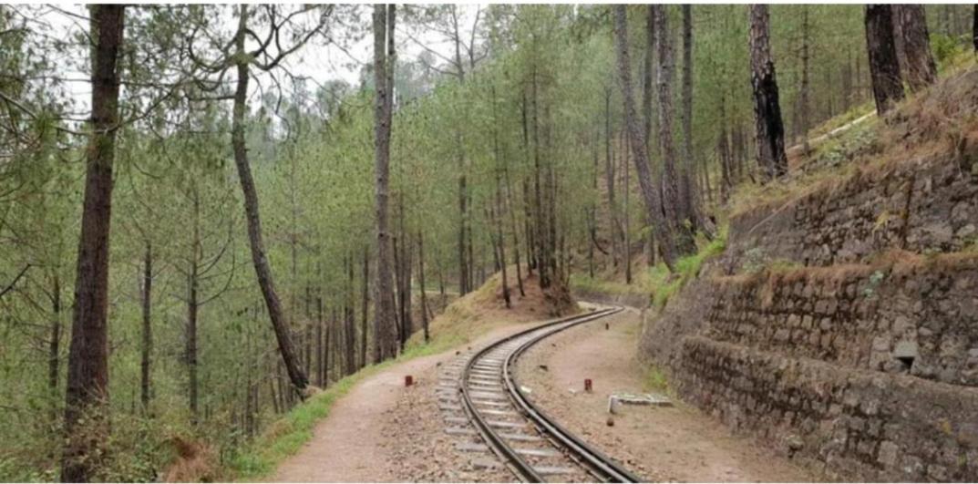 The Kasauli Western Uphills I Serviced Apartments I Pvt Balcony I Peacefull Area I By Exotic Stays Eksteriør bilde
